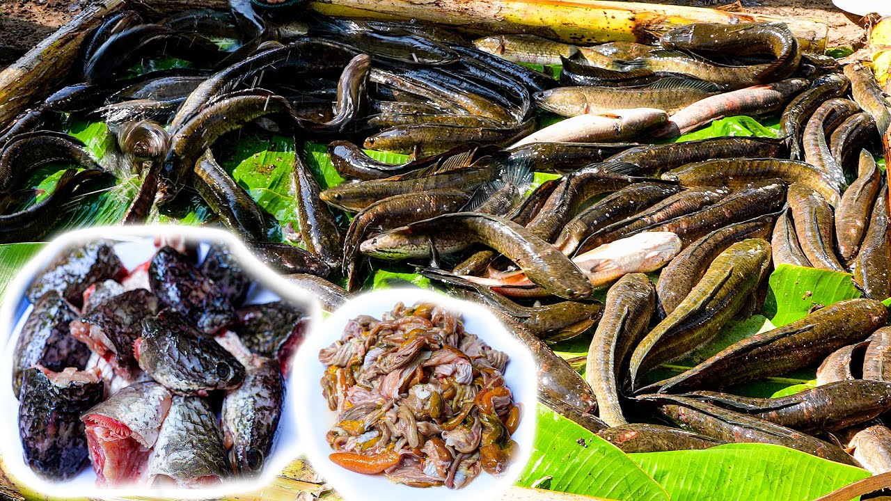 Cá Làm Khô - Đầu Cá Lóc Hấp Hành Bao Tử Xào Xã Ớt