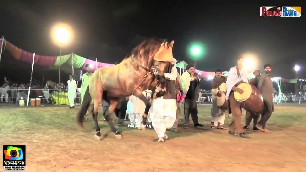 Maharaja ll Malik Fakhar Matila ll Mithoo ll Horse Dance ll Ni Abadi Ravi Pul Tkra 57 4 Kamalia l