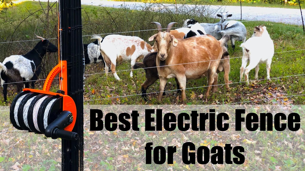 Best Portable Electric Fence for Goats - Gallagher Smart Fence