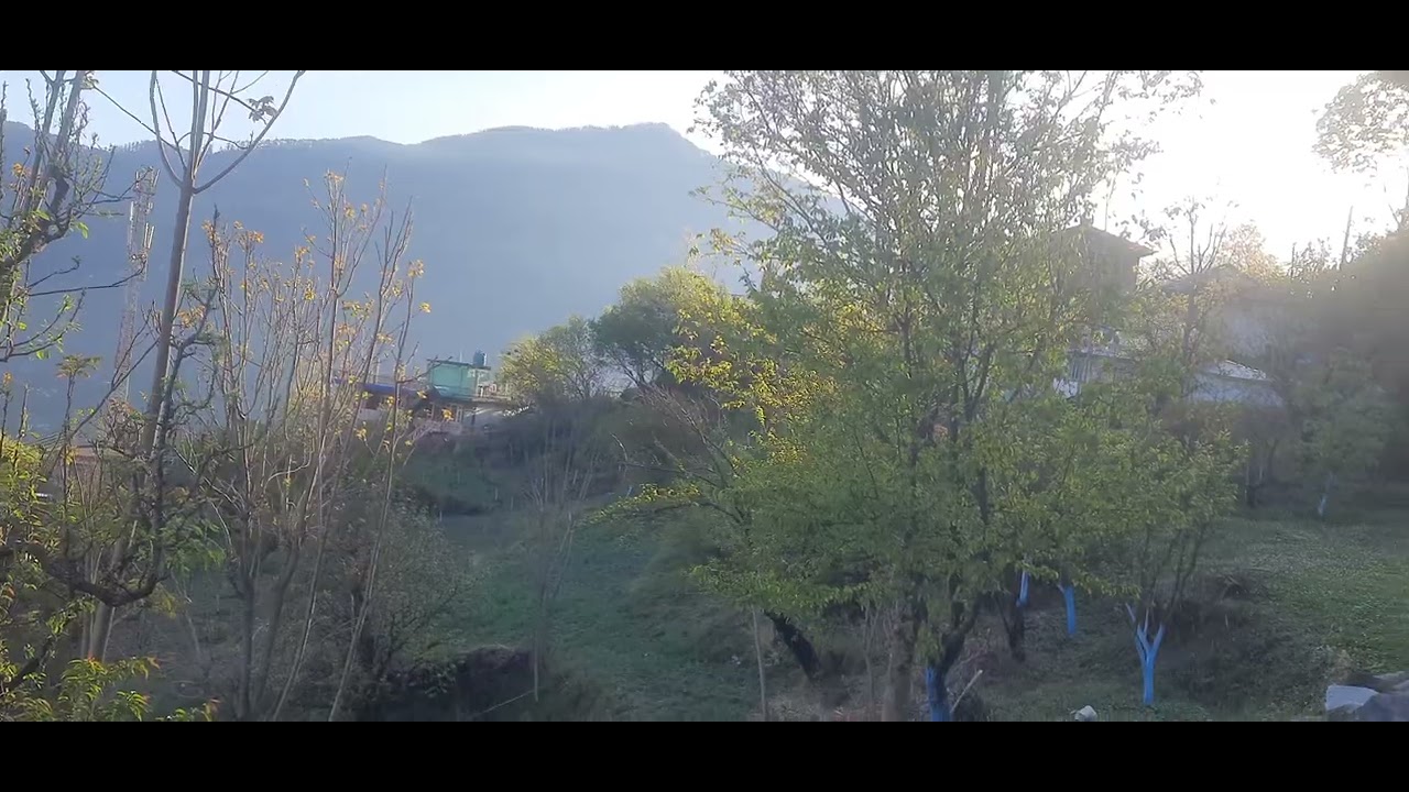 Barish ke bad palach valley ki beauty🥰🥰##viral#himachal