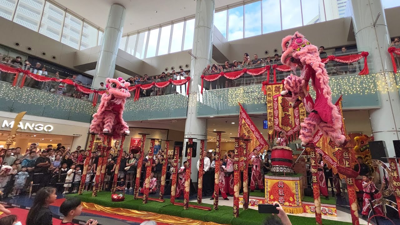 2026 Twin Lion dance on high poles at Marina Square (Last Day)