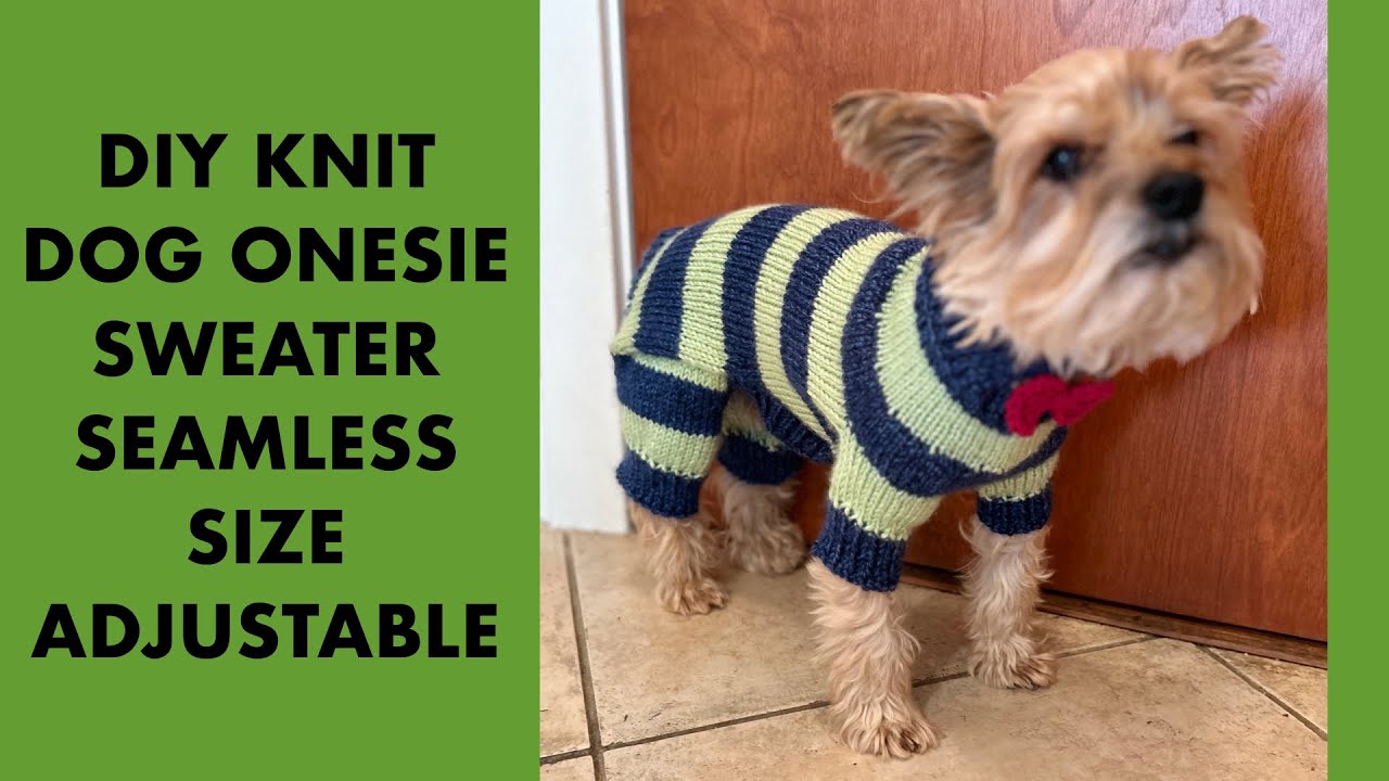 KNIT DOG ONESIE WITH COLLAR #freepattern #dogsweater #diyknit #stepbystep