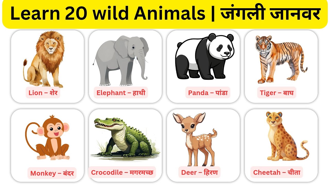 Learn 20 Wild Animals Names with Pictures | English & Hindi | जंगली जानवर