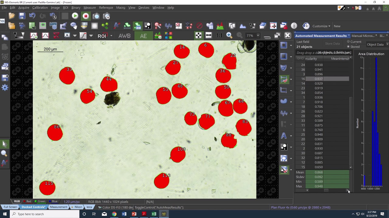 Automated bivalve larval measurements using NIS-Elements