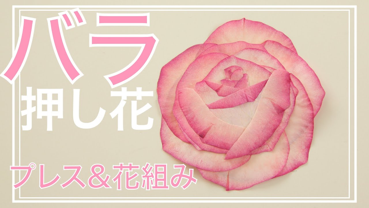 【バラ押し花の作り方】色別に異なるプレスと花の組み立て