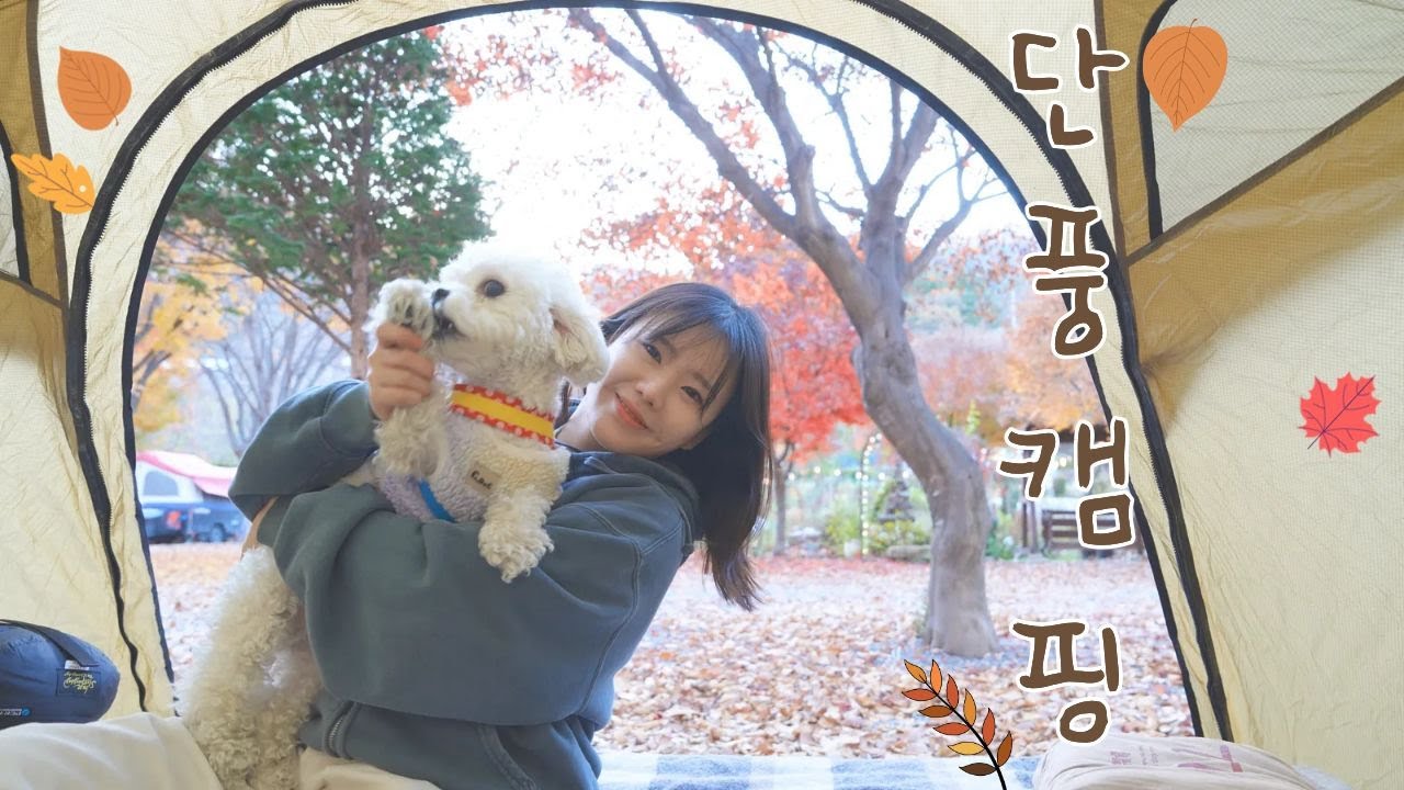 올해 마지막 단풍캠핑.... 첫 화목난로와 미친 조합 | 어리굴젓.알배추 군고구마 소곱창전골 까지!