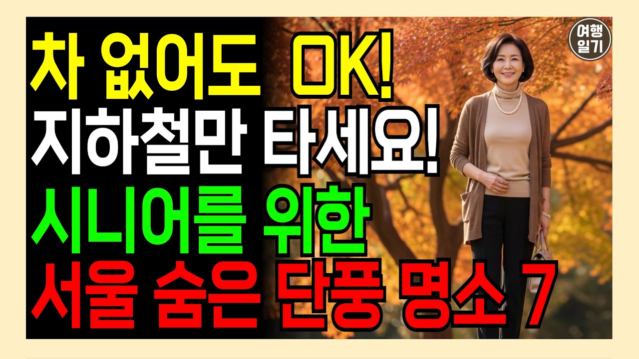 이번 가을 단풍은 서울 지하철 타고! 시니어도 쉽게 가는 단풍 명소 7곳.