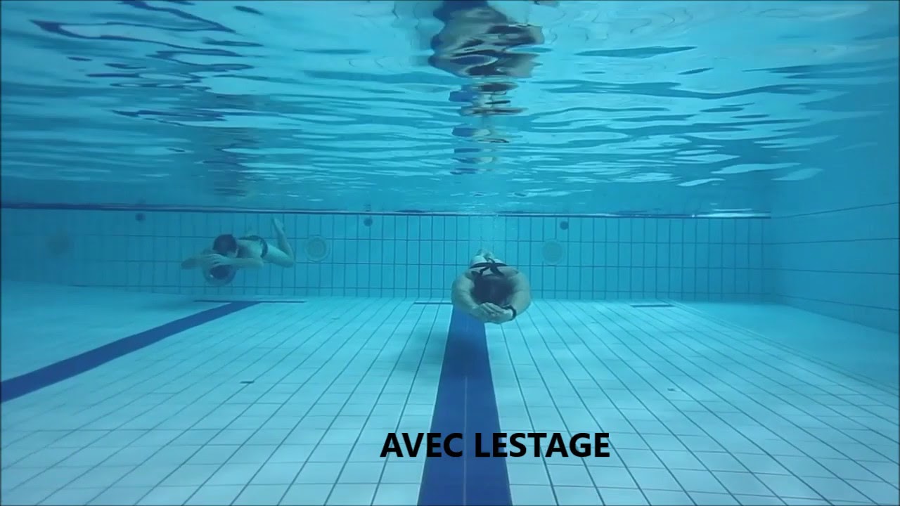 42🐟 R&eacute;ussir en APN&Eacute;E DYNAMIQUE: Lestage, Maitre couple & Hydrodynamisme ⬇️ voir la description ⬇️