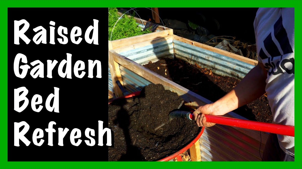 Raised Garden Bed Refresh - Spring Cleaning