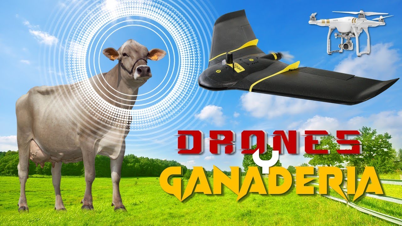 ✅ Los DRONES y la GANADERÍA 🐮