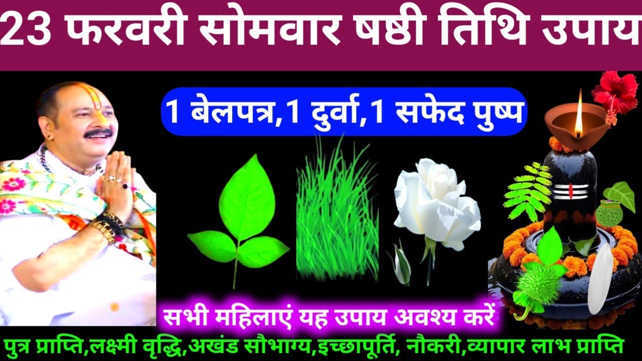 🕉 23 फरवरी फागुन सोमवार षष्ठी तिथि बेलपत्र, दुर्वा, सफेद पुष्प अचूक उपाय अवश्य करें 🙏❤#shiv, #upay