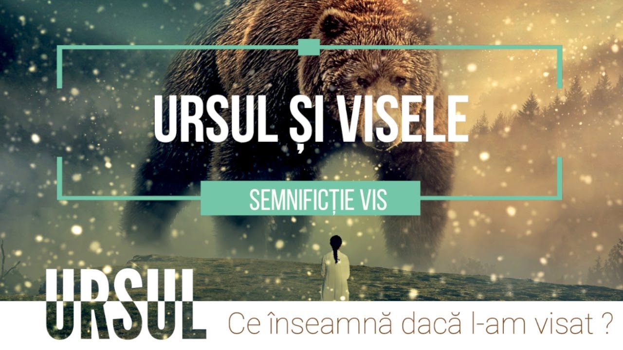 Ursul &icirc;n vis, ce &icirc;nseamnă și cum se interpretează visele despre urși