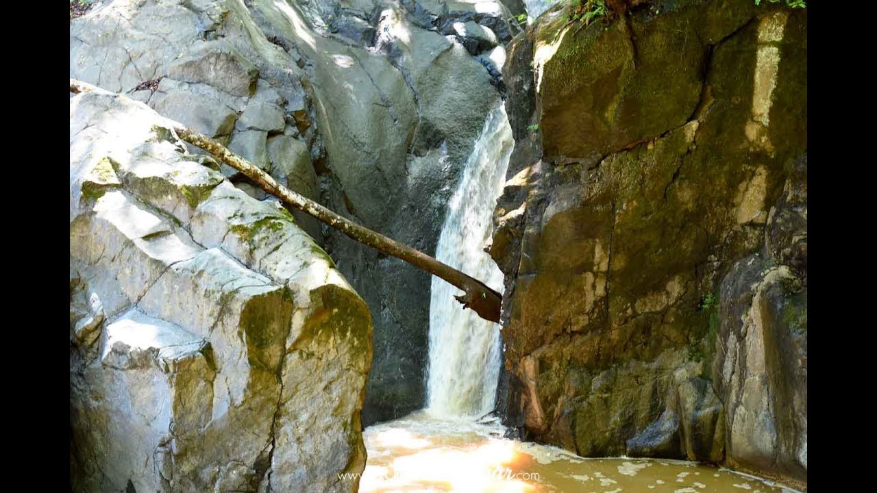 Poza el Cañon ,Finca San Gerardo - Alajuela