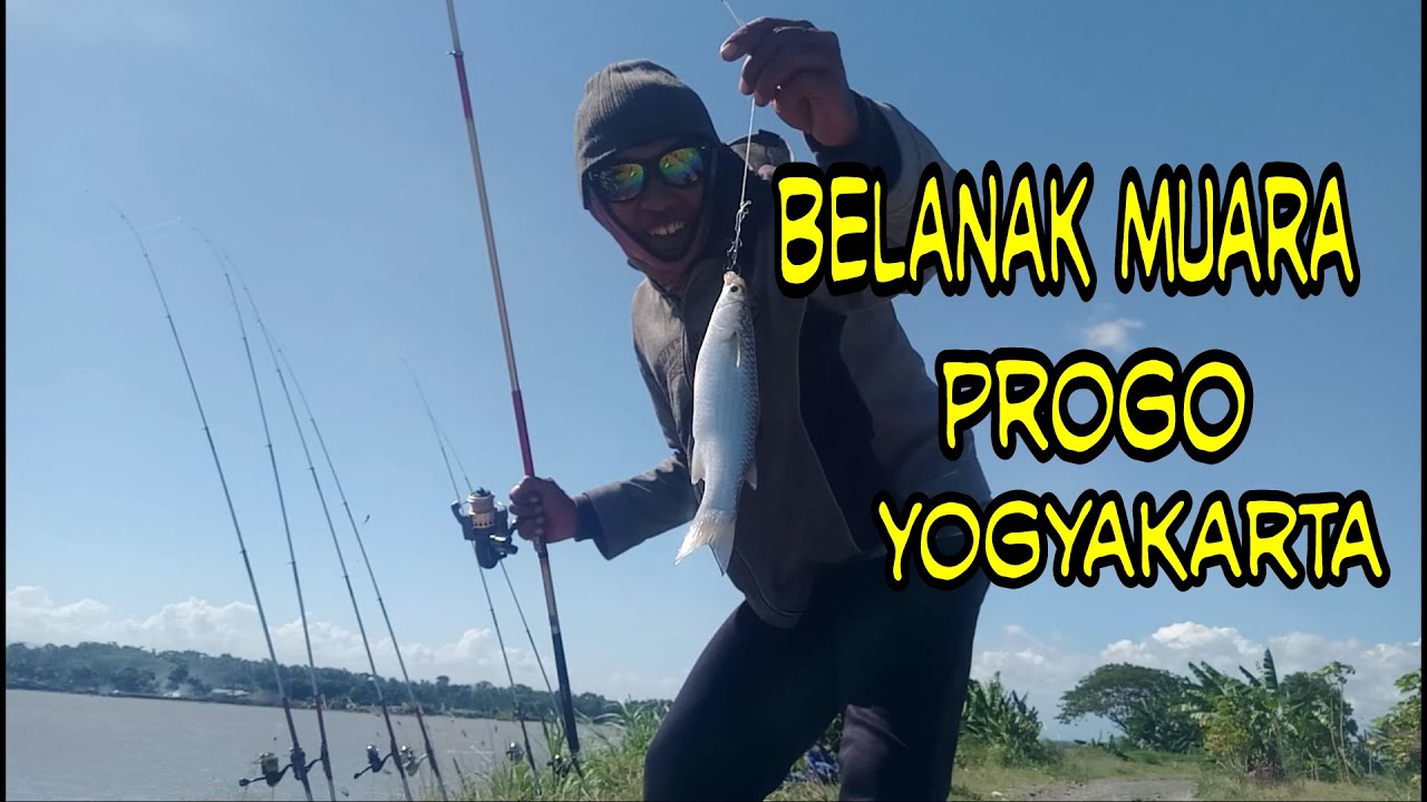 Belanak Muara Laguna Progo Pandansimo Yogyakarta