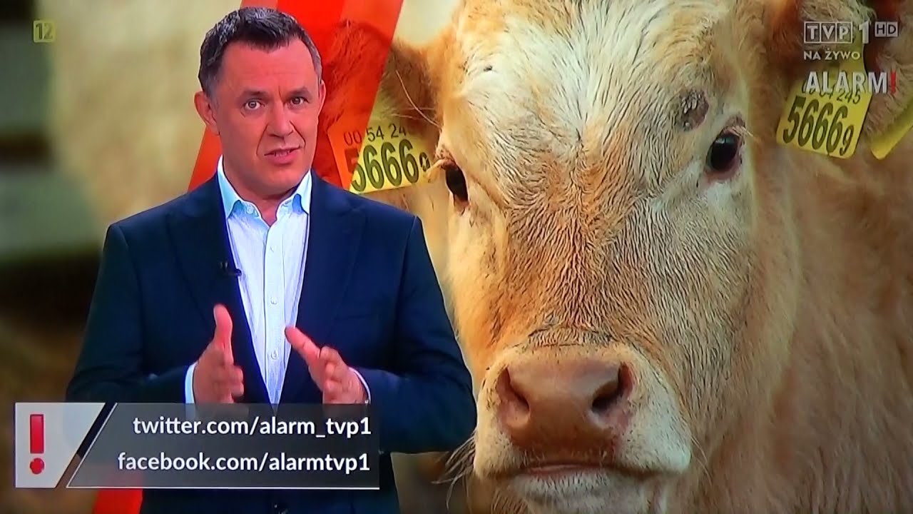 Czadrów. Rolnicy nękani kontrolami i sąsiadki skargami.