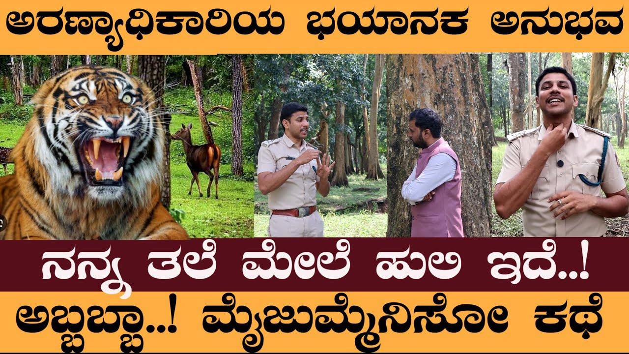 ನನ್ನ ತಲೆ ಮೇಲೆ ಹುಲಿ ಇದೆ..!ಅರಣ್ಯಾಧಿಕಾರಿಯ ಭಯಾನಕ ಅನುಭವ - ನವೀನ್&zwnj; ರಾವತ್&zwnj; #naveenrawath