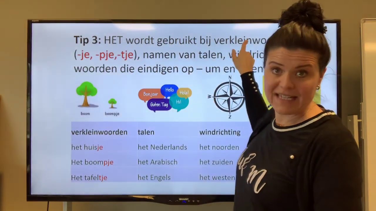 NT2 DE & HET het raam de ramen, wat zijn de regels? lidwoorden grammatica #Learndutch TC 6.2