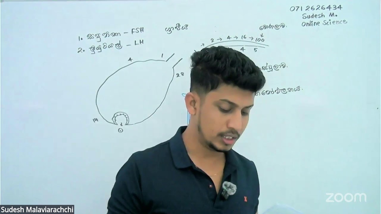Sudesh Malaviarachchi's Personal Meeting Room