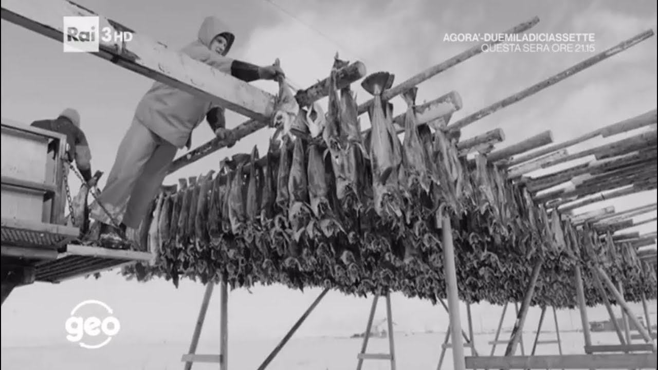 Documentario Lo stocco di mammola - Geo e Geo
