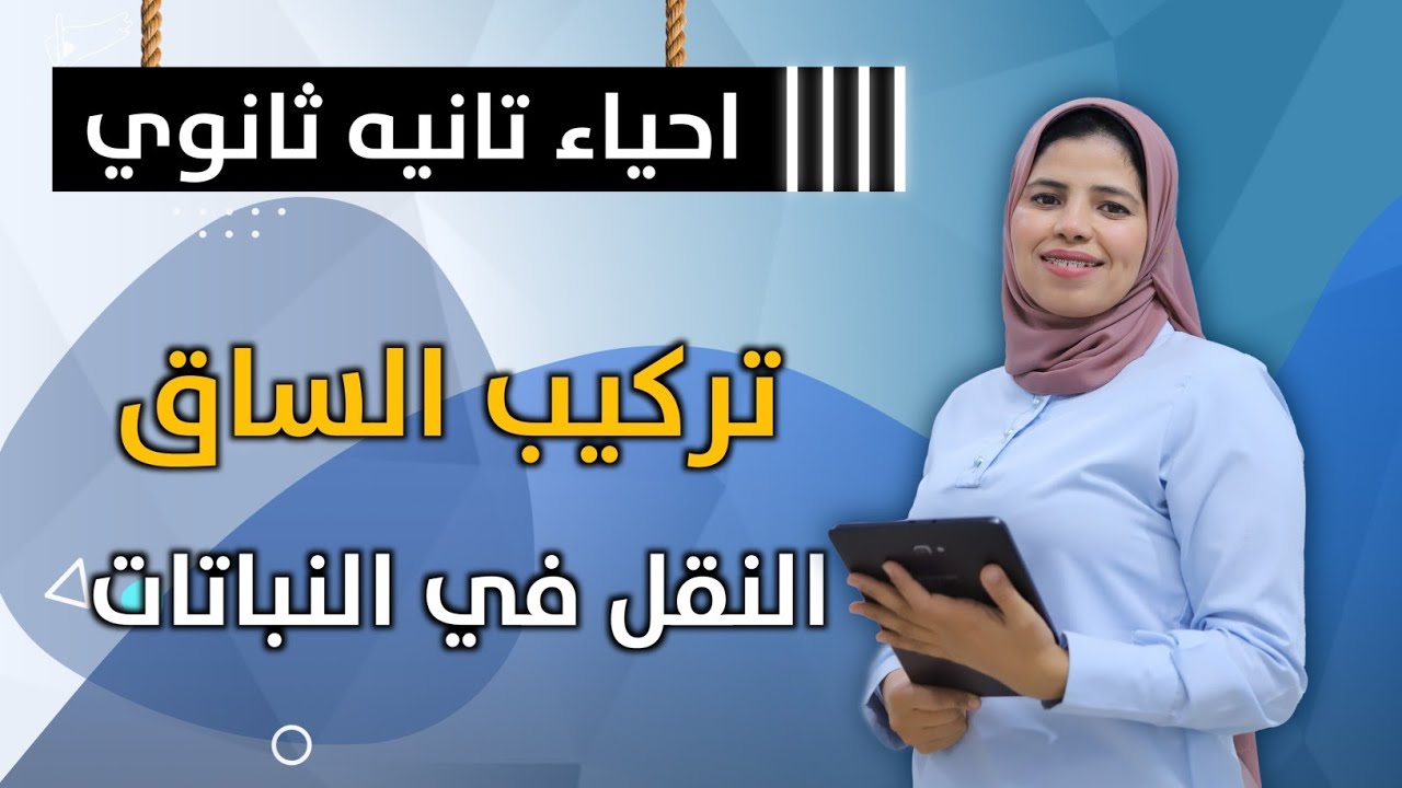 تركيب الساق | النقل في النباتات - احياء الصف الثاني الثانوي
