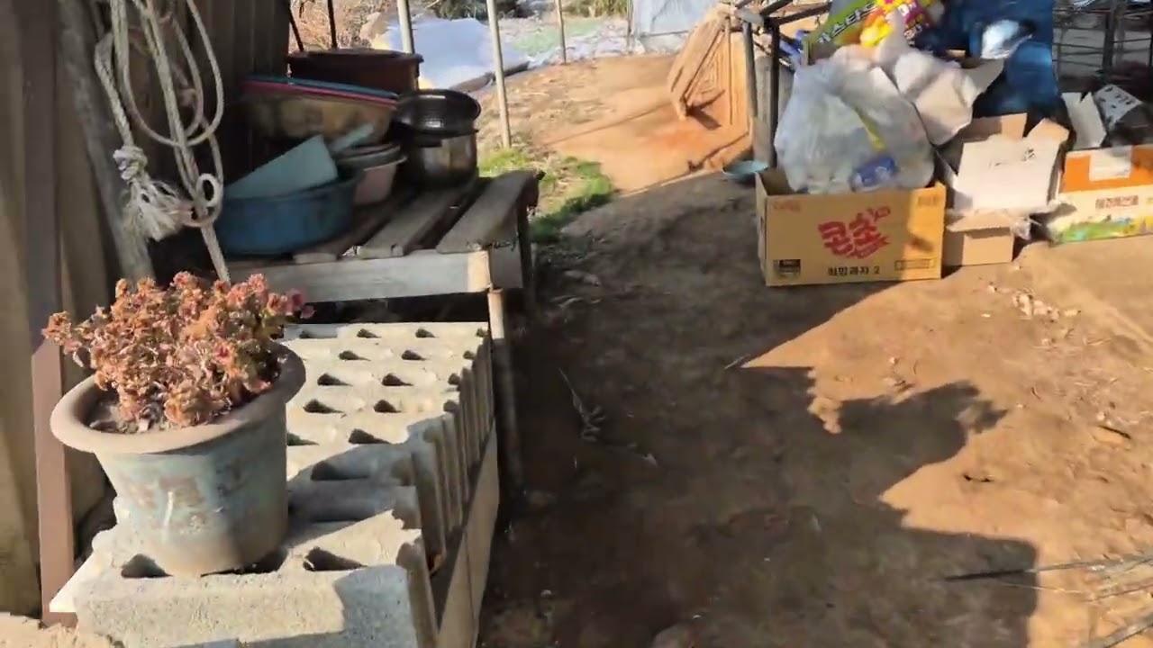 이삐가 왜그럴까요? 누가 알려 주세요~^^ㅠㅠ