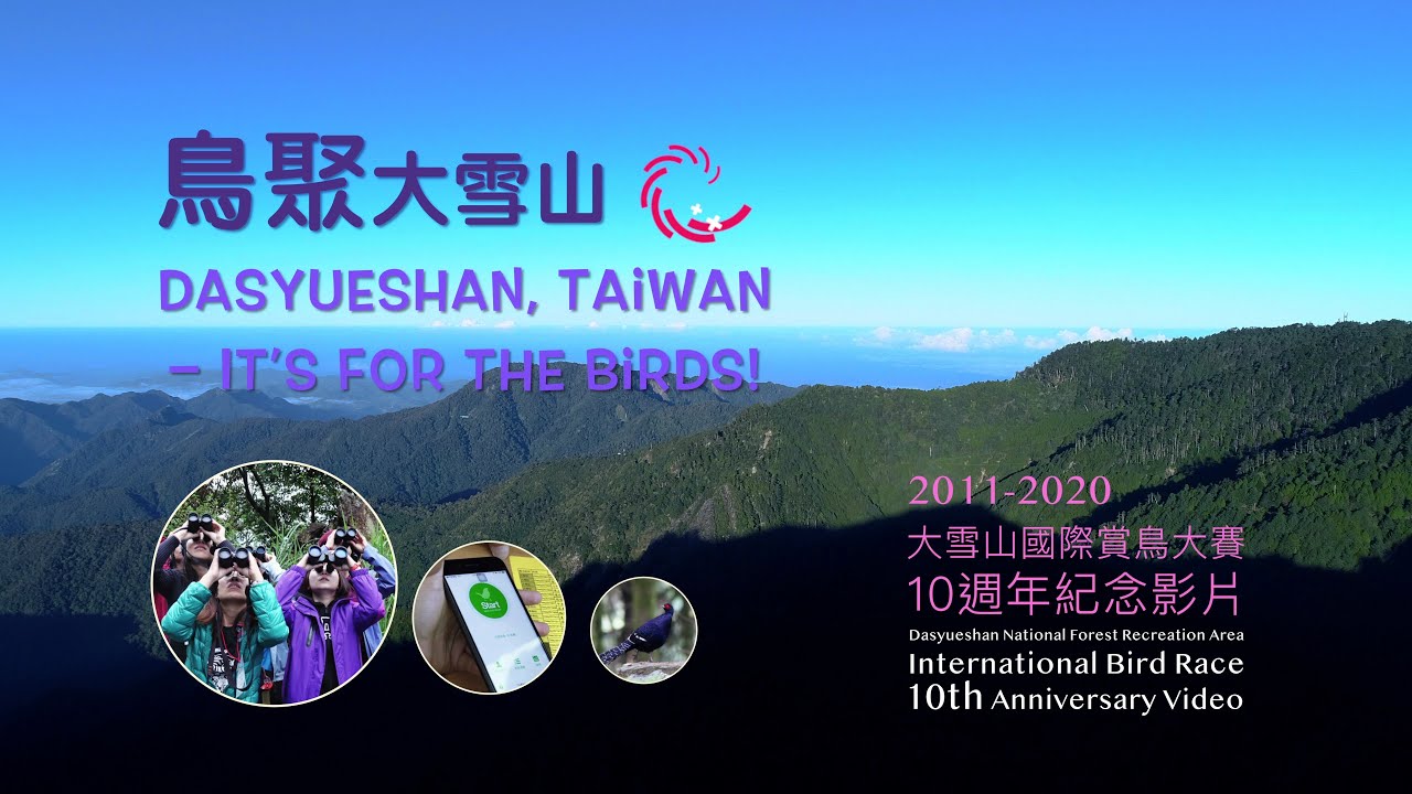 享譽國際！最紅的臺灣鳥事｜鳥聚大雪山-2020大雪山國際賞鳥大賽10週年紀念影片（中英字幕）