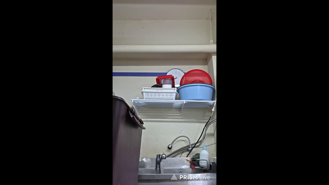 말 라이브 방송