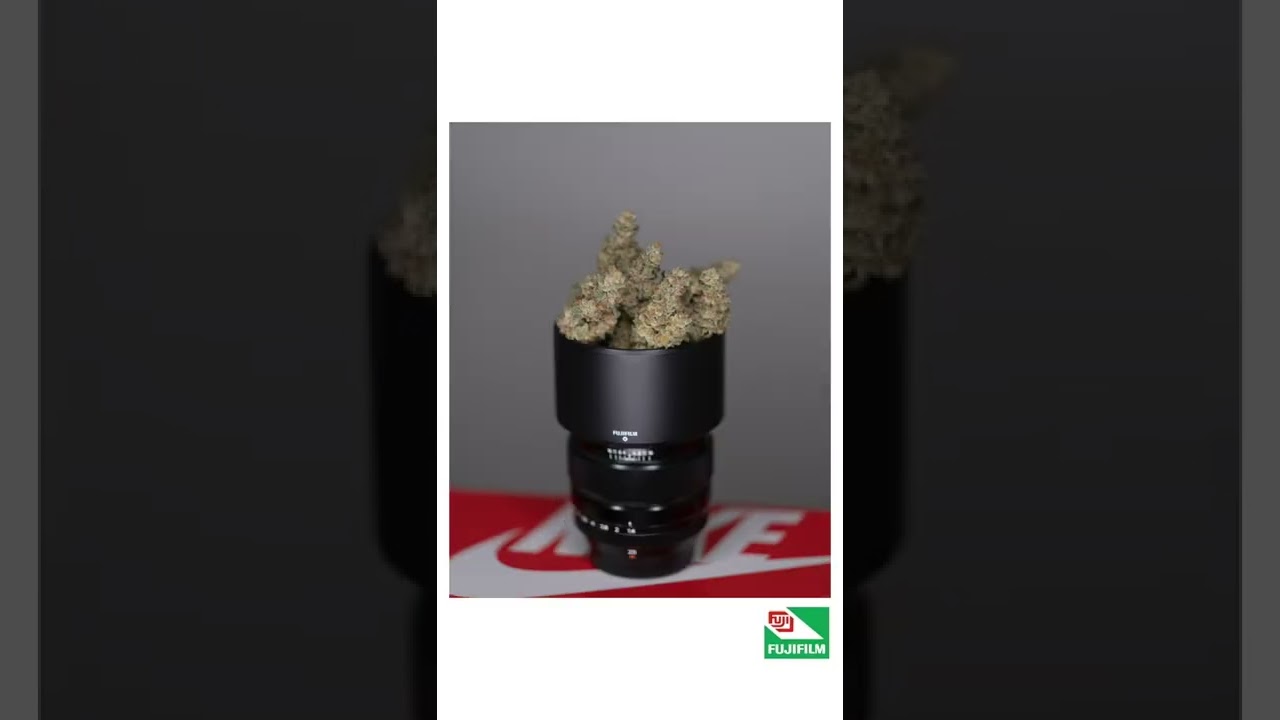 My first harvest 2022 | FX3 | Cannabis
