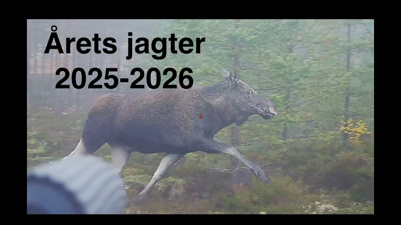 &Aring;rets Jagtfilm 2025-2026