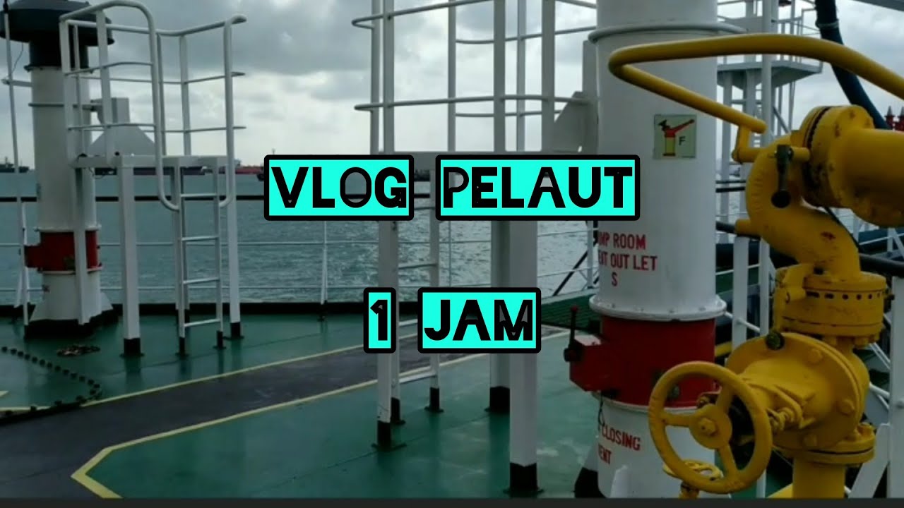 vlog plaut