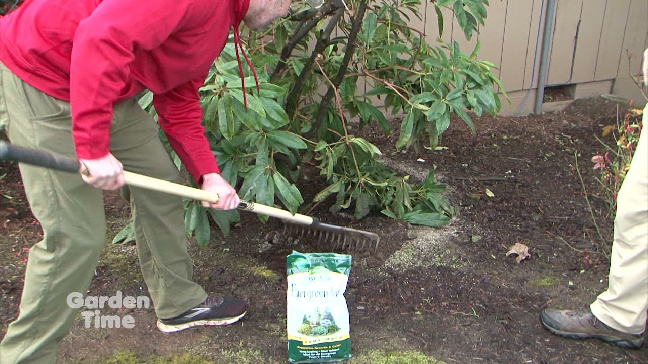 Recovering from Winter Damage