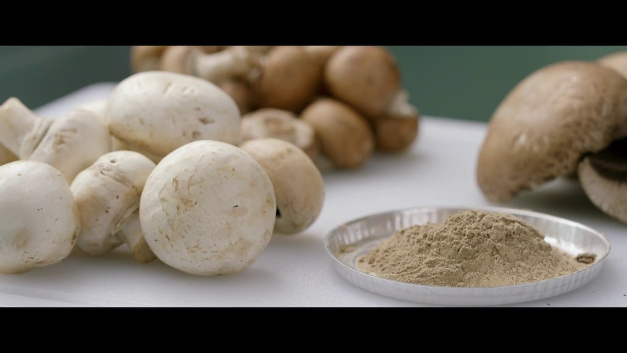 Amway uses mushrooms as a plant-based source of vitamin D in its Nutrilite supplements