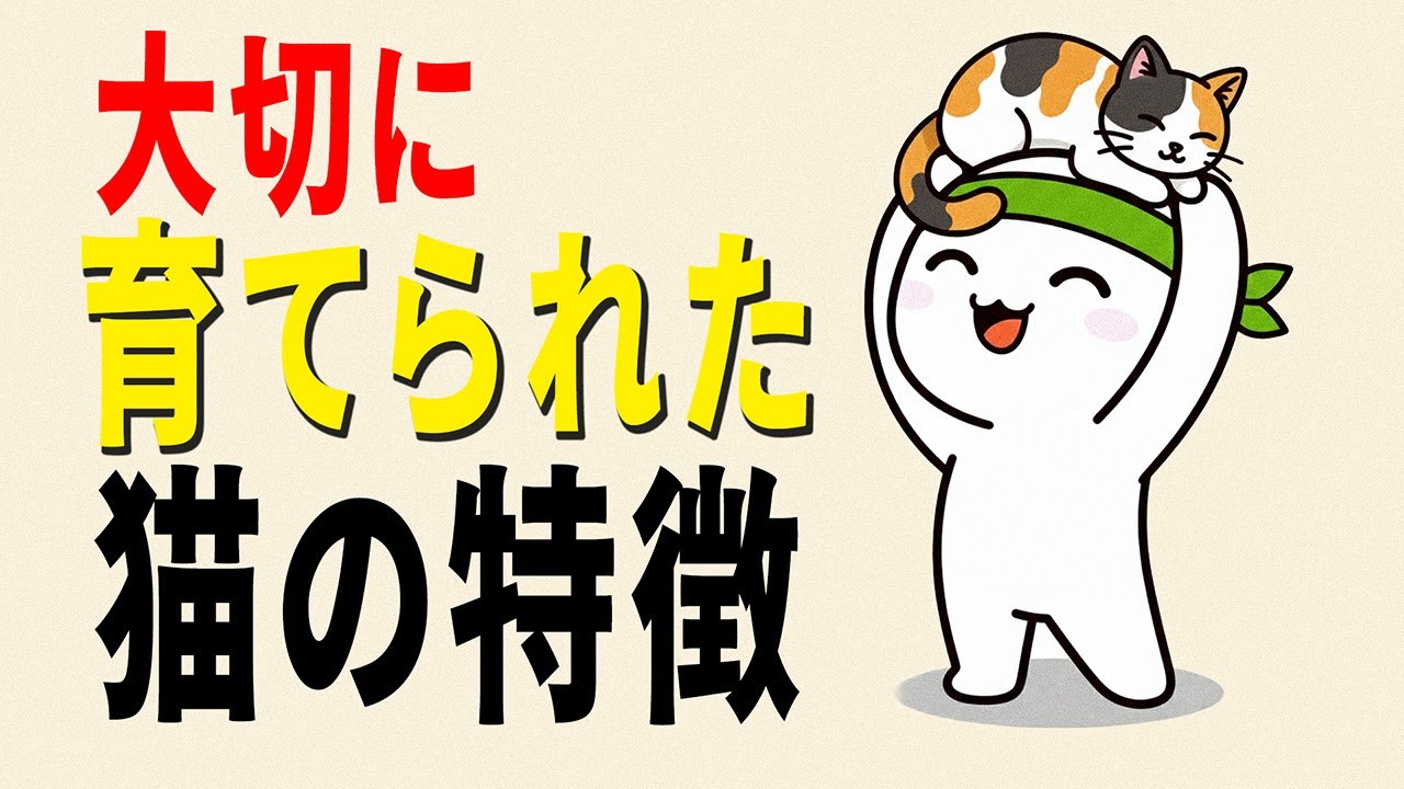 【猫雑学】大切に育てられた猫は、必ずこの行動を取る。知らないと一生見逃すサイン【やさしい人生】