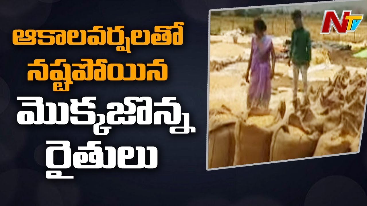Coronavirus Lockdown Effect On Corn Farmers In Bhadradri Dist | NTV