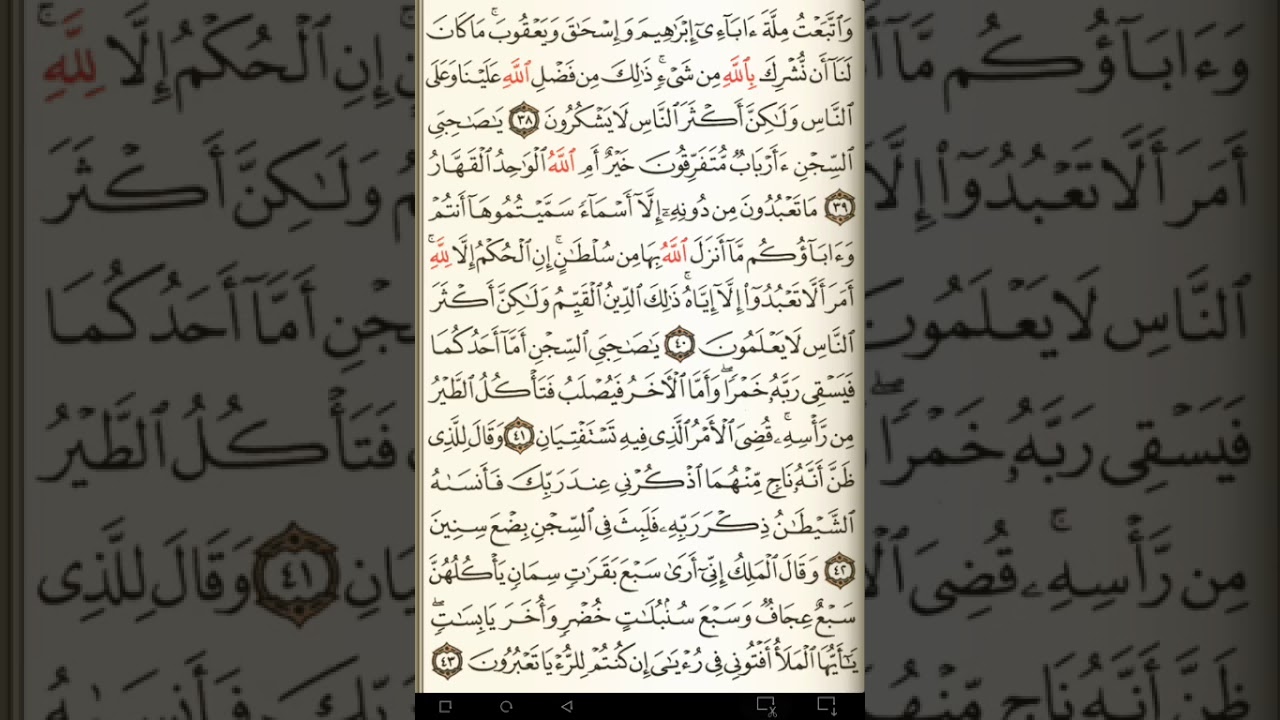 ماهر المعيقلي سورة يوسف مكتوبة صفحة 240 مصحف المدينة المنورة جودة عالية