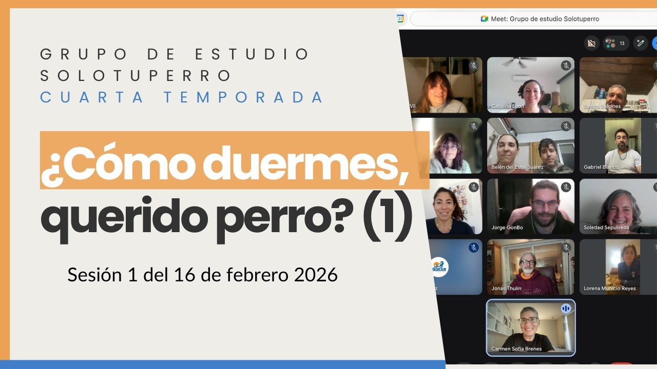 La importancia del sueño en el bienestar canino (1)