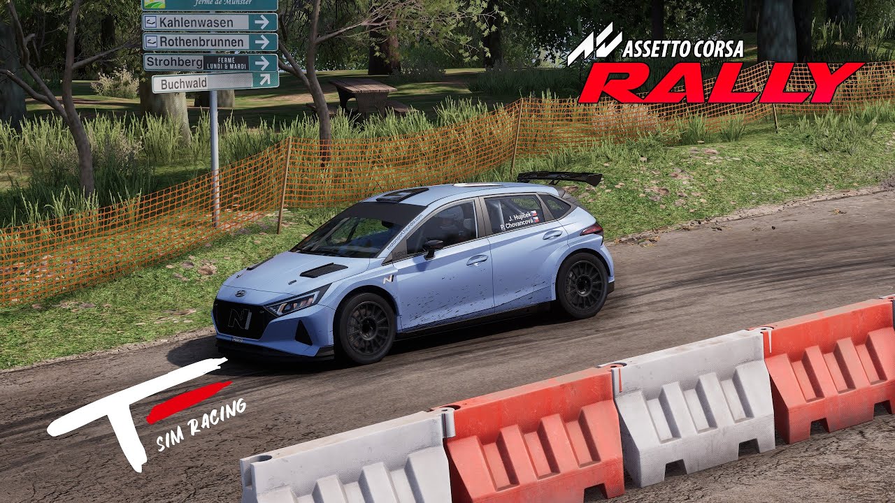 Assetto Corsa Rally - WORLD RECORD