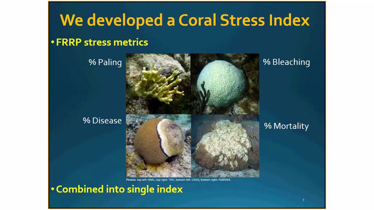 “Identifying Coral Stress 'Hot Spots'”   John Fauth & Danny Goodding