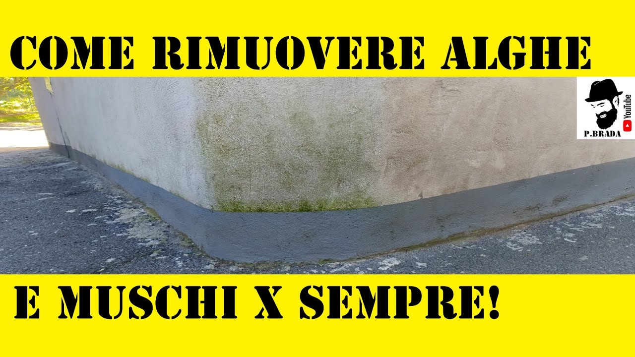Come eliminare Alghe e Muschio sui muri esterni Fai da Te