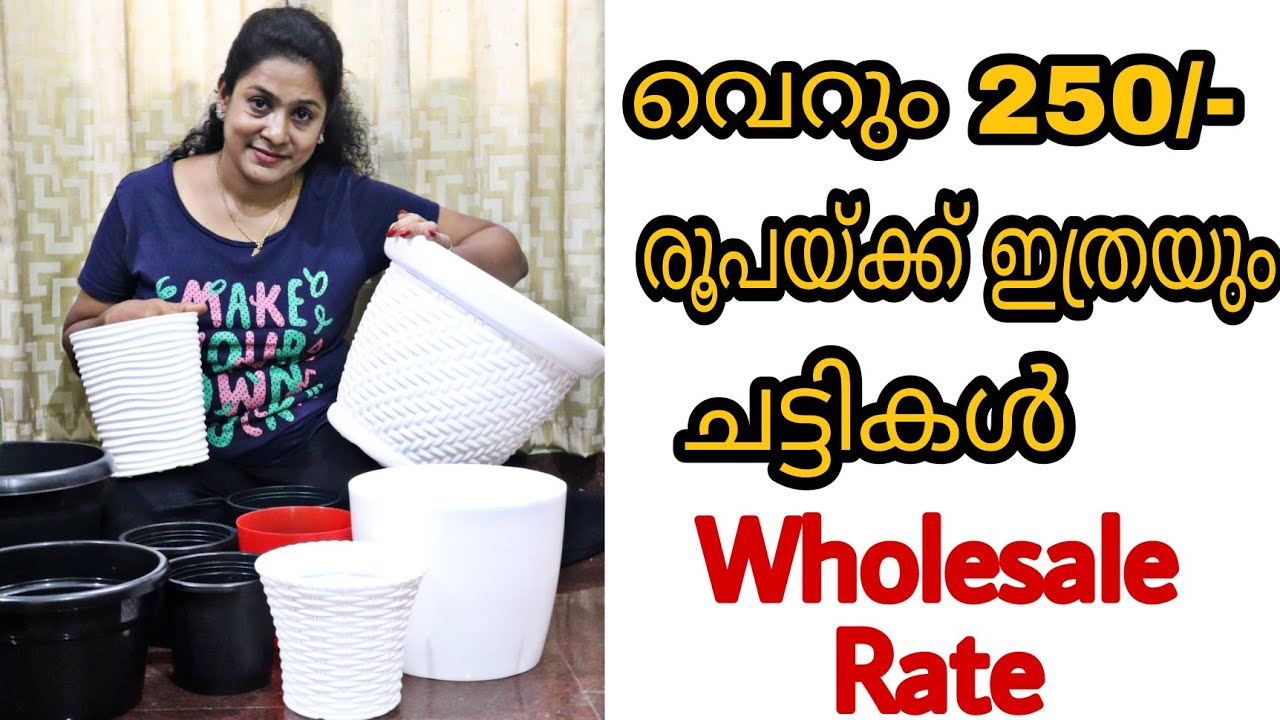 Chedi Chatti ചെടിച്ചട്ടികൾ Wholesalerate || Trending Mannuthy Nursery Pot Chedichatty