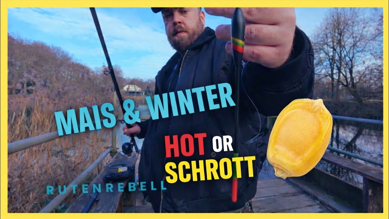 Mais im Winter? Völliger Blödsinn oder GEHEIMWAFFE?  #angeln #fishing #fun