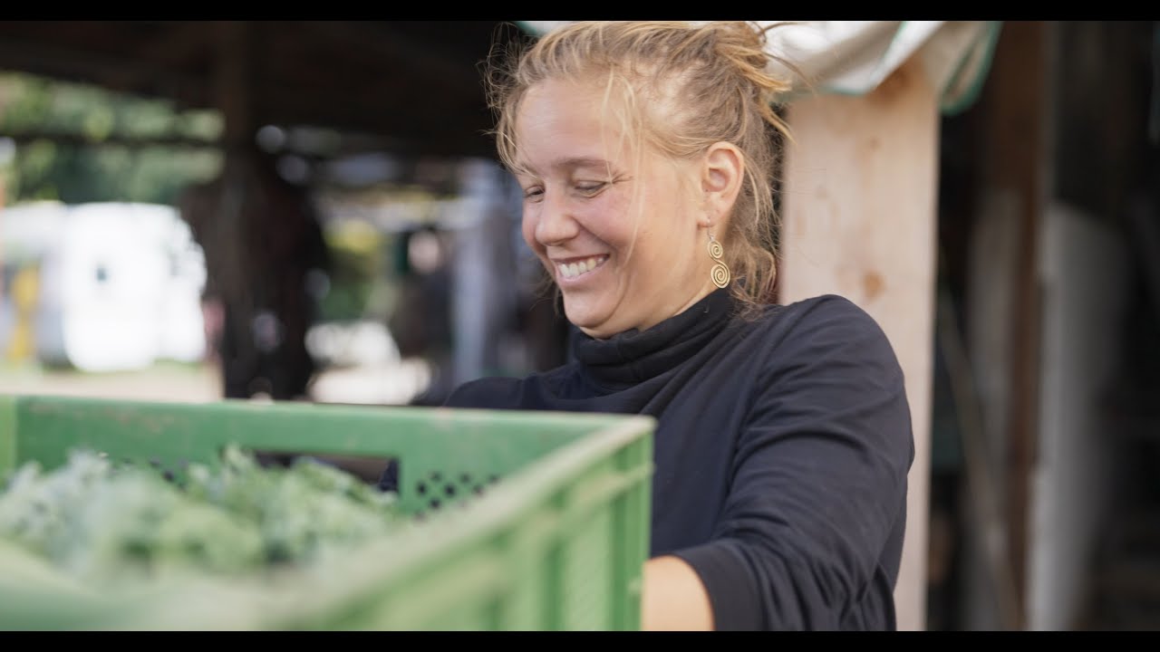 Wie wir die G&auml;rtnerei Zipf als solidarische Landwirtschaft weiterf&uuml;hren