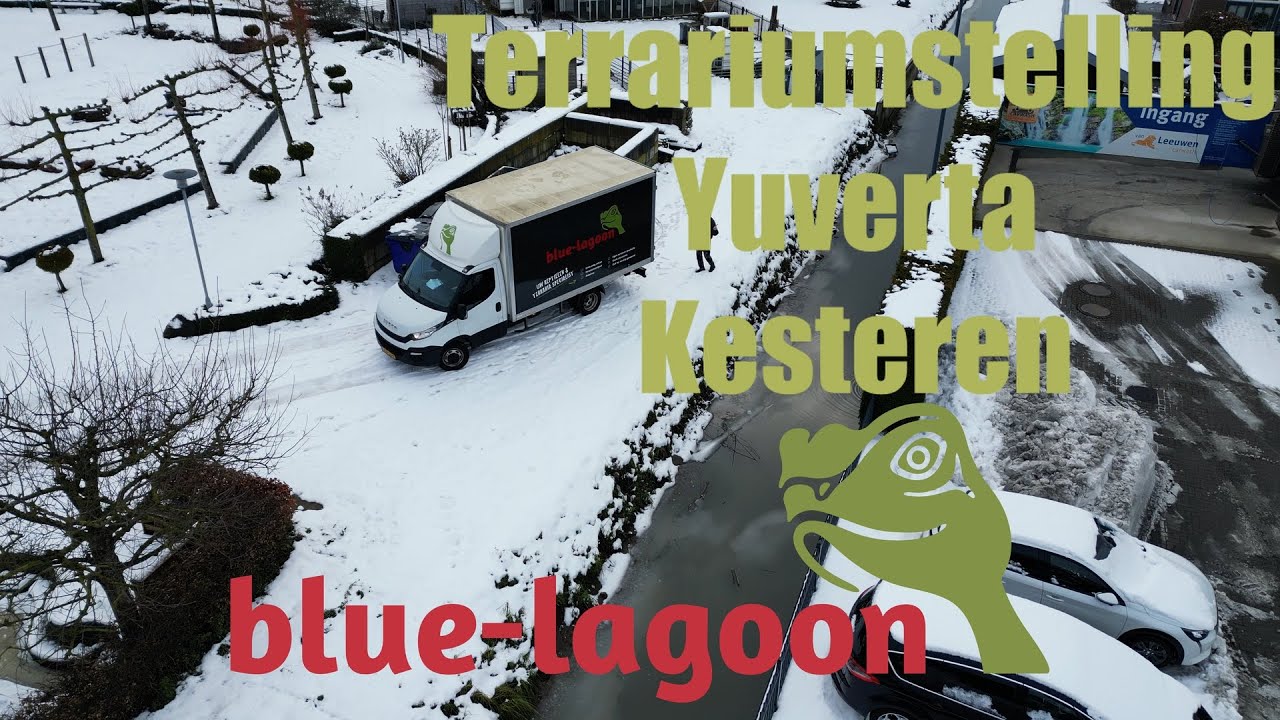 Terrariumstelling voor Yuverta Kesteren | Blue-lagoon Maassluis