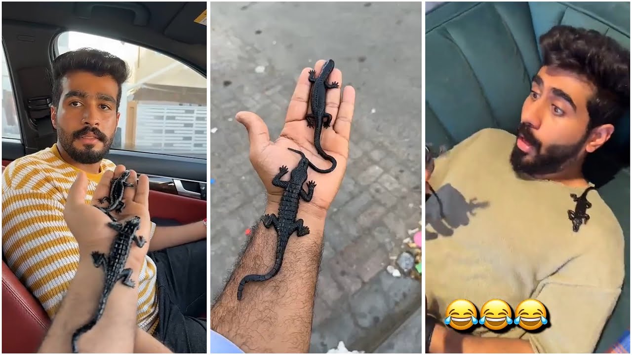 مقلب السحلية في خلود 😂 #سعيد_الحربي