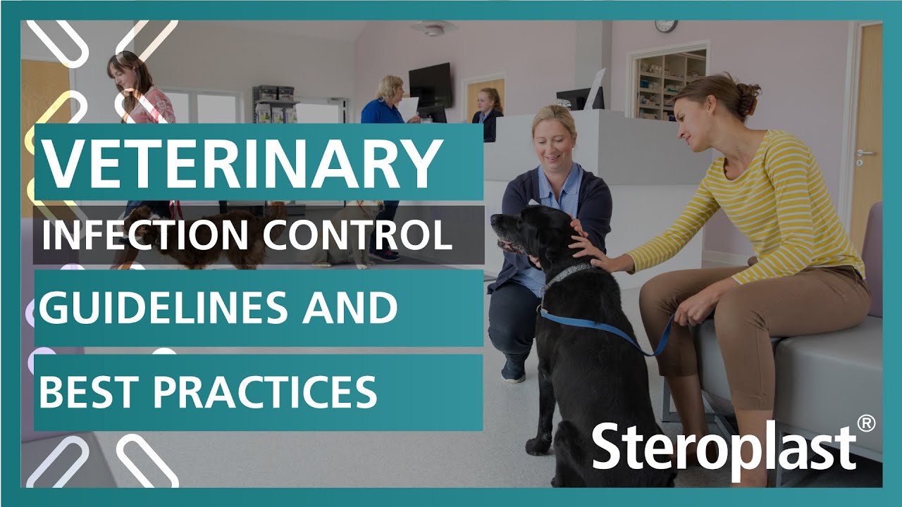 Veterinary Infection Control Guidelines and Best Practices  | Steroplast Healthcare