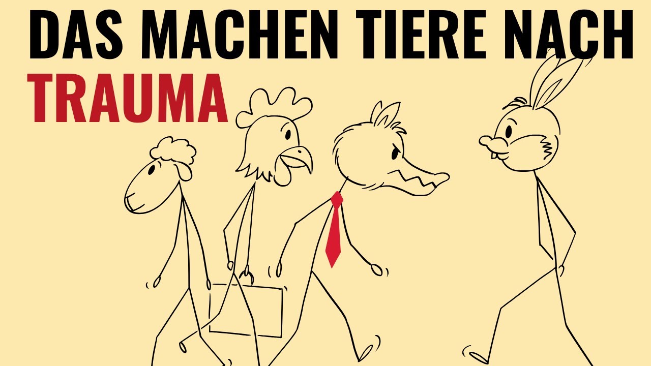 Was Tiere nach Trauma tun – und warum diese Übungen dein Nervensystem beruhigen