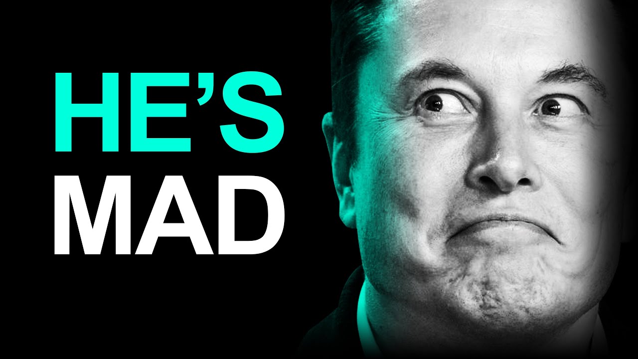 Claws Out: Ex-Tesla Bull TRASHES Elon Musk