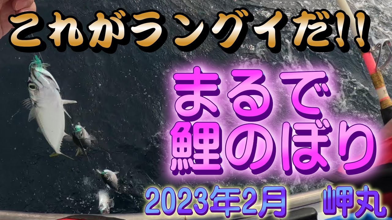 ラングイ　寒サバ　岬丸　マサバが主役です！
