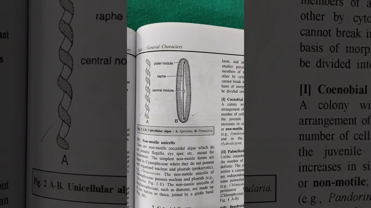 plz# Like & subscribe# General characteristics of algae& range of the thallus# trending shorts 📷##