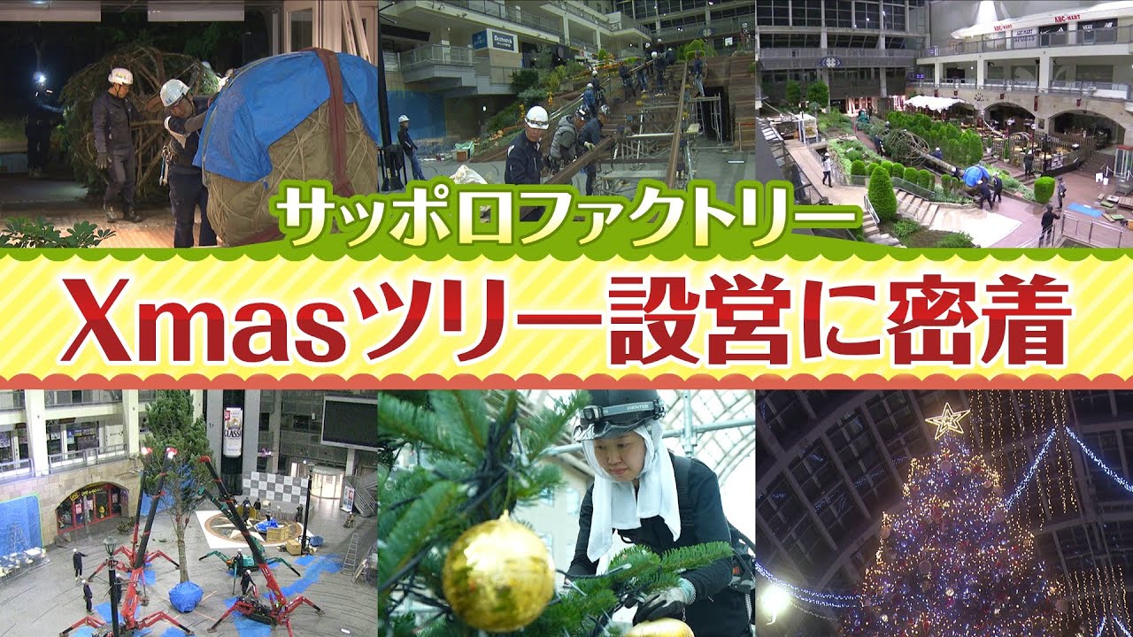 【どうやって入れる？】サッポロファクトリー恒例のジャンボクリスマスツリー&hellip;設営の舞台裏に密着